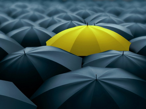 Understanding the Insurance Claims Process with Apex Insurance Brokers Ltd