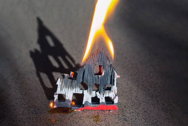 istockphoto 1463443323 612x612 1